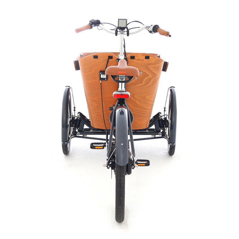 Découvrez le vélo cargo électrique Babboe Carve Mountain sur Cyclable