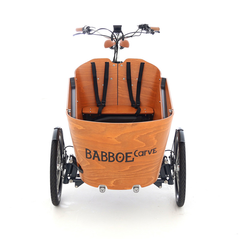 babboe carve mountain test