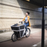 Vélo cargo Urban Arrow Shorty ville