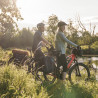 Vélo de randonnée électrique Kalkhoff Entice 5.B Advance +
