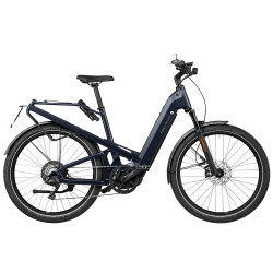 Speed Bike Riese&Müller Homage GT HS