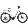 Speed Bike Riese&Müller Homage GT HS