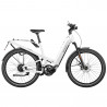Speed Bike Riese&Müller Homage GT HS