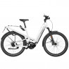 Speed Bike Riese&Müller Homage GT HS