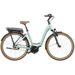 Riese & Müller Swing3 Electric City Bike