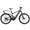 Speed Bike Riese&Müller Delite HS