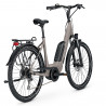 Vélo de randonnée électrique Kalkhoff Entice 1.B Move gris arrière