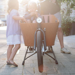 Serrure De Vélo électrique AXA Pour Vélo Cargo - Compatible Babboe Go Mountain