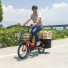 Vélo cargo électrique Tern Quick Haul P9 caisses