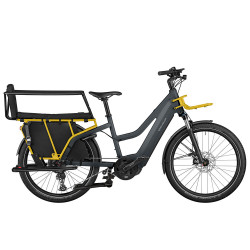 Riese & Müller Multicharger GT Family gris/jaune trapèze