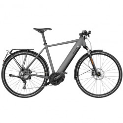 Speed bike Riese & Müller Roadster HS gris