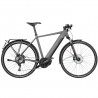 Speed bike Riese & Müller Roadster HS gris