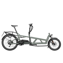 Speed bike Riese & Müller Load4 60 touring HS tundra grey