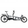 Speed bike Riese & Müller Load4 60 touring HS coal grey