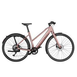 Vélo de ville électrique Riese & Müller UBN Seven touring rose