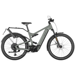 Speed bike Riese & Müller Delite4 GT touring HS tundra grey