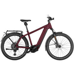 Speed bike Riese & Müller Charger4 GT touring HS dark red