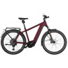 Speed bike Riese & Müller Charger4 GT touring HS dark red