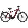 Speed bike Riese & Müller Charger4 GT rohloff HS dark red