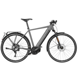 Speed bike Riese & Müller Roadster4 touring HS grey