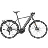 Speed bike Riese & Müller Roadster4 touring HS grey