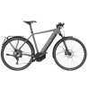 Speed bike Riese & Müller Roadster4 HS