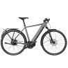 Speed bike Riese & Müller Roadster4 vario HS grey