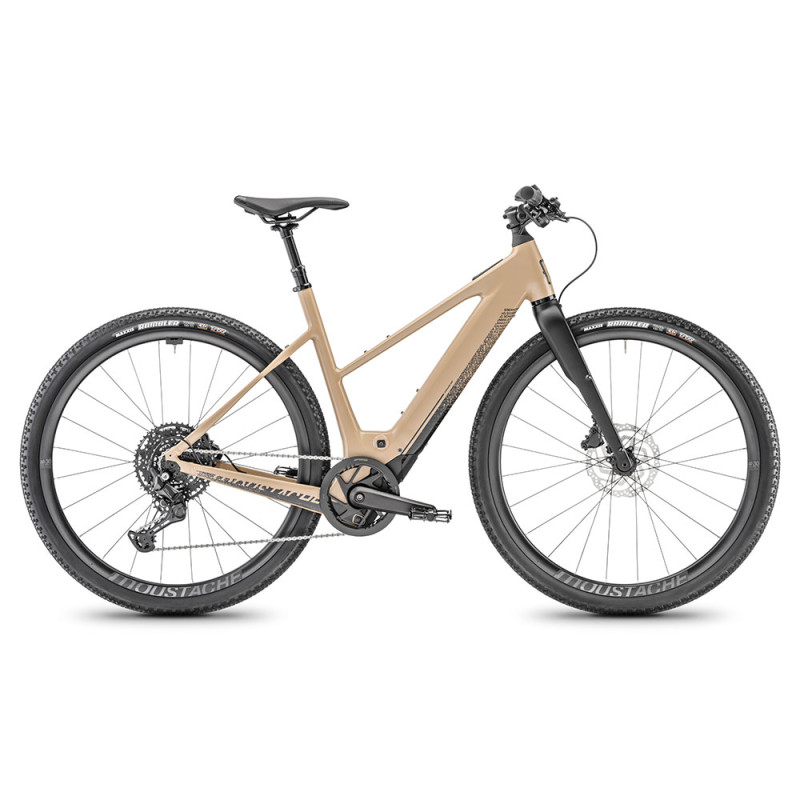 Velo gravel electrique giant online