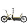 Vélo cargo électrique Riese & Müller Carrie vario anise