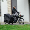 Vélo cargo électrique Cube Trike Cargo Hybrid 750