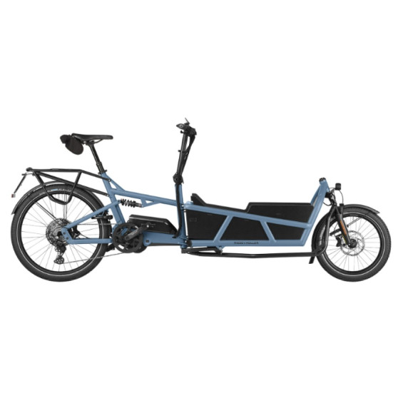 Speed bike Riese & Müller Load5 75 touring HS arctic