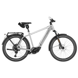 Speed bike Riese & Müller Charger5 touring HS magnesium