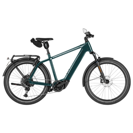 Speed bike Riese & Müller Charger5 touring HS pine