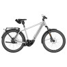 Speed bike Riese & Müller Charger5 vario HS magnesium