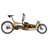 Vélo cargo électrique Riese & Müller Load5 60 rohloff peanutt