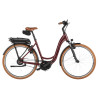 Vélo ville électrique Riese & Müller Swing5 vario bordeaux