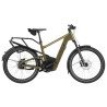 VTC électrique Riese & Müller Delite5 vario amber