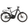 Speed bike Riese & Müller Delite5 pinion HS stone grey
