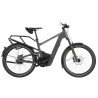 Speed bike Riese & Müller Delite5 rohloff HS stone grey