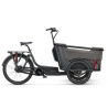 Vélo cargo électrique Batavus Fier 3