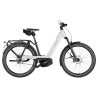 Speed bike Riese & Müller Nevo5 HS