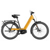 Speed bike Riese & Müller Nevo5 HS