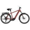 Speed bike Riese & Müller Charger5 Touring HS