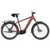 Speed bike Riese & Müller Charger5 Pinion HS