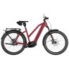 Speed bike Riese & Müller Charger5 Mixte Pinion HS
