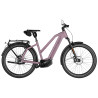 Speed bike Riese & Müller Charger5 Mixte Pinion HS