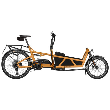 Speed bike Riese & Müller Load5 60 HS