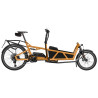 Speed bike Riese & Müller Load5 60 HS Touring