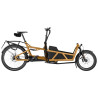 Speed bike Riese & Müller Load5 60 HS Pinion