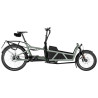 Speed bike Riese & Müller Load5 60 HS Pinion